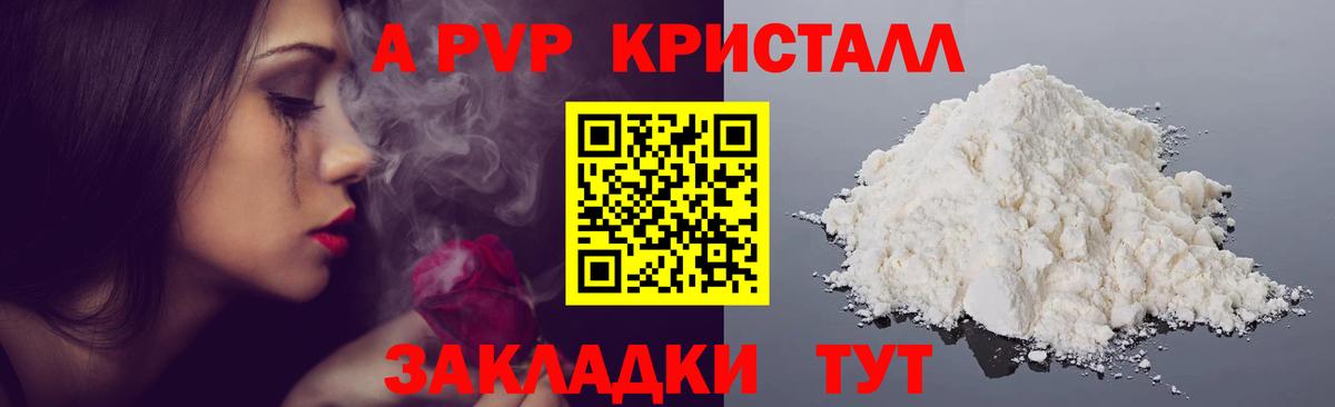 А ПВП крисы CK Курчалой