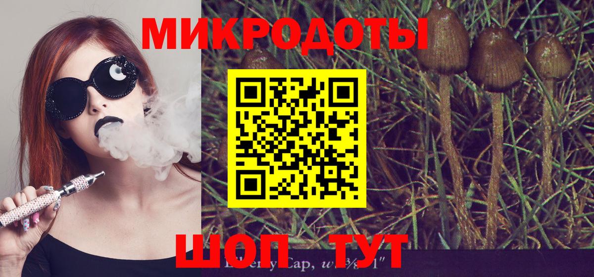 Курчалой  Галлюциногенные грибы мицелий  Вход с VPN  Псилоцибиновые грибы Psilocybine cubensis 